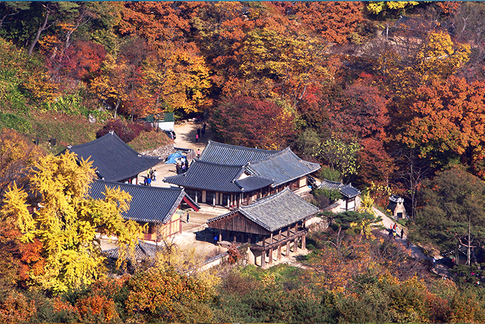 안동(봉정사)