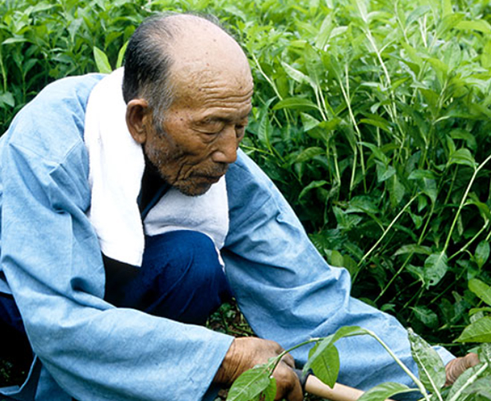 Dyeing Artisan Yun Byeong-un